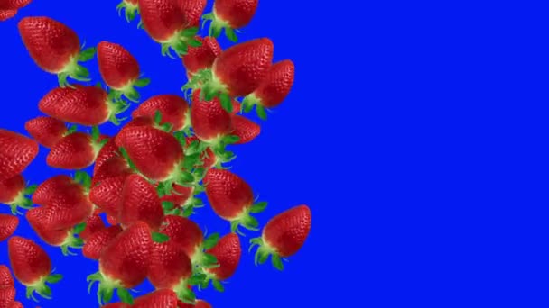 Erdbeeren Gruppe Früchte Übergang Animation Auf Blauem Bildschirm Chroma Taste — Stockvideo