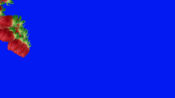 Суниця Групова Анімація Переходу Фруктів Синій Екран Хром Ключ — стокове відео
