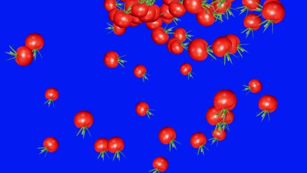 Tomaten Gruppe Übergang Animation Auf Blauem Bildschirm Chroma Taste — Stockvideo