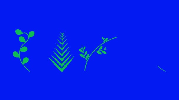 Leaves Animation Set Blue Screen Chroma Key Floral Decorations Clips — 비디오