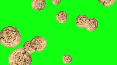 Kereviz Düşen Canlandırma Grubu, düzenlenebilir arkaplan, yeşil ekran krom anahtarı