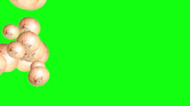 Soğan Animasyon Grubu, düzenlenebilir arkaplan, yeşil ekran krom anahtarı
