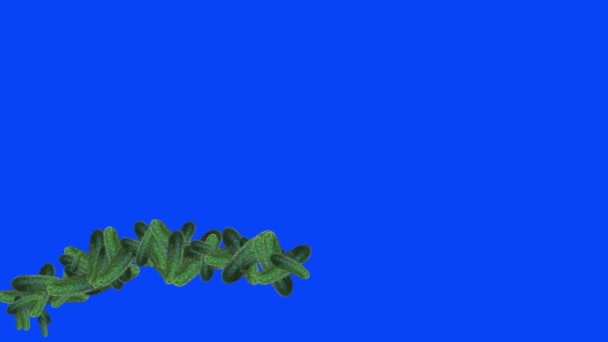 Group Cucumbers Animation Editable Background Blue Screen Chroma Key — Stock Video