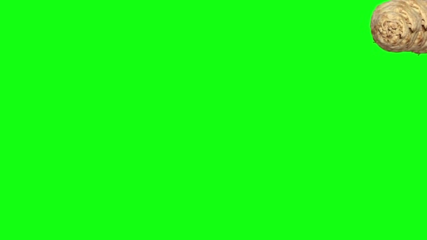 Skupina Celery Animace Upravitelné Pozadí Zelená Obrazovka Chroma Klávesa — Stock video