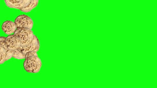 Group Celery Animation Editable Background Green Screen Chroma Key — Stock Video