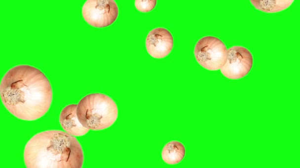 Gruppo Cipolle Che Cadono Animazione Sfondo Modificabile Tasto Chroma Schermo — Video Stock
