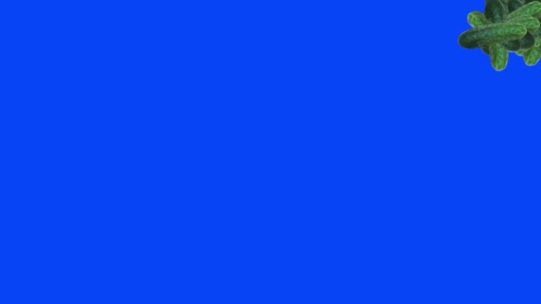 キュウリのアニメーション 編集可能な背景 青い画面のクロマキーのグループ — ストック動画