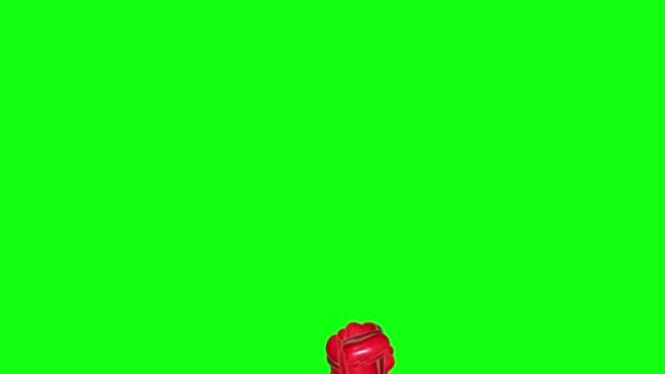 Skupina Červená Paprika Animace Upravitelné Pozadí Zelená Obrazovka Chroma — Stock video