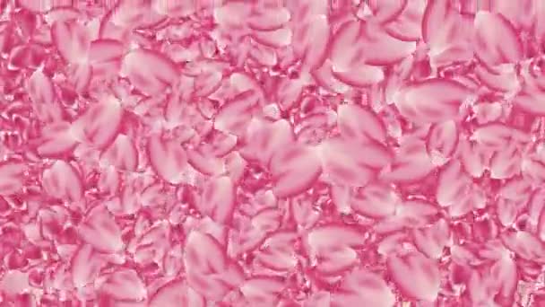 Pink Rose Bloemblaadjes Vallen Achtergrond Lus — Stockvideo