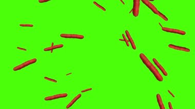 Sebzeler düşen animasyon kroma anahtar element döngüsü, havuçlar