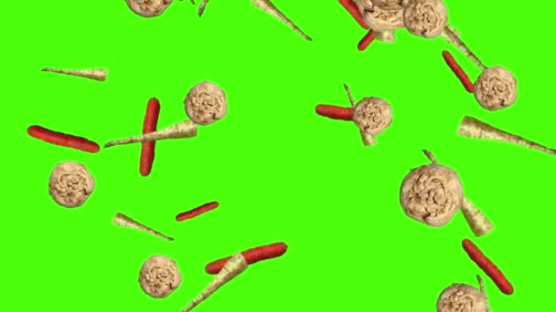 Légumes Tombant Animation Chroma Élément Clé Boucle Carottes Panais Céleri — Video