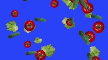 Sebzeler düşen animasyon kroma anahtar element döngüsü, salatalıklar, domates ve salata