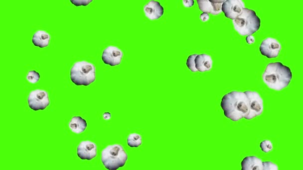 Gemüse Fallende Animation Chroma Schlüsselelement Schleife Knoblauch — Stockvideo