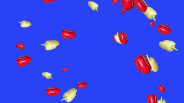 Sebzeler düşüyor animasyon kroma anahtar döngü, sarı ve kırmızı biber