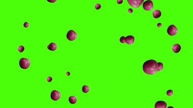 Meyveler düşen animasyon kroma anahtar döngü, elmalar