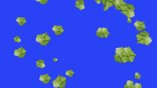 Sebzeler Düşüyor Animasyon Kroma Anahtar Element Döngüsü Salata — Stok video