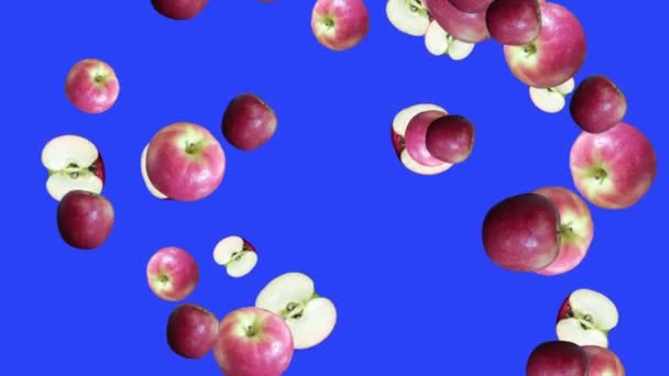 Fruits Falling Animation Chroma Key Element Loop Apples — Stock Video