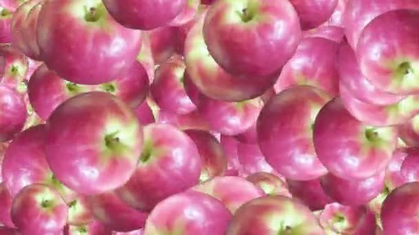 Lazo Animación Caída Frutas Fondo Manzana — Vídeos de Stock