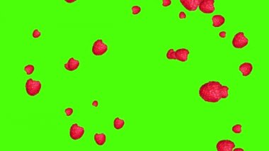 Meyve düşüşü animasyon kroma anahtar döngü, ahududu