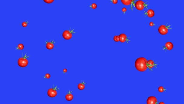 Gemüse Fallende Animation Chroma Schlüsselelement Schleife Tomate — Stockvideo