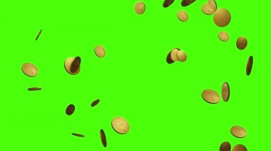 Altın 3D madeni paralar kusursuz döngü yeşil ekran krom anahtarından düşüyor