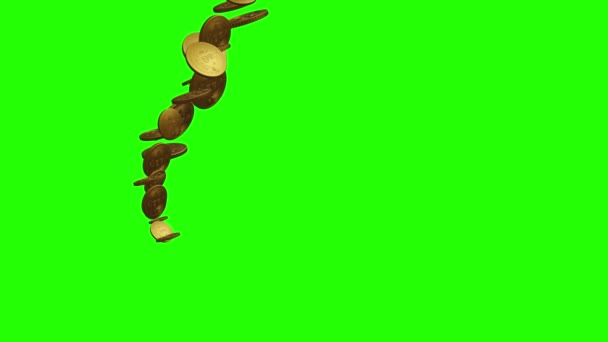 Group Golden Coins Animation Green Screen Chroma Key — Stock Video
