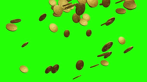 黄金のコインのグループアニメーション緑の画面クロマキー — ストック動画