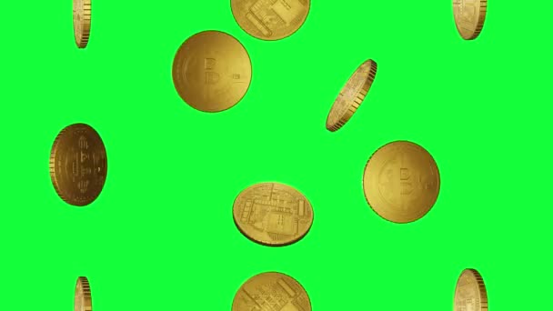 Grupp Gyllene Bitcoins Animation Snurrar Sömlös Loop Grön Skärm Kroma — Stockvideo