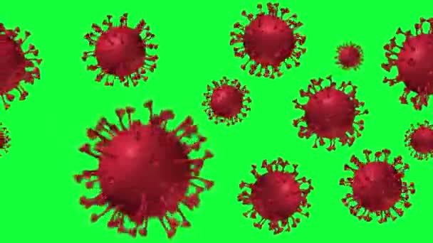 Grupo Covid Coronavírus Elemento Animação Sem Costura Loop Tela Verde — Vídeo de Stock