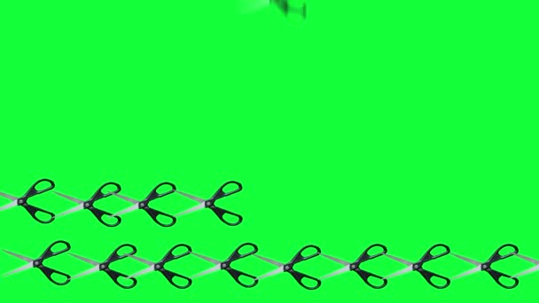 绿色屏幕彩色键上的一组动画剪子 — 图库视频影像