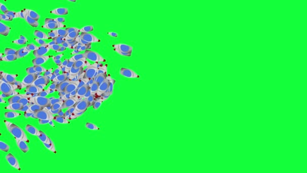 Gruppo Bottiglie Plastica Animazione Modificabile Schermo Verde Chiave Chroma — Video Stock