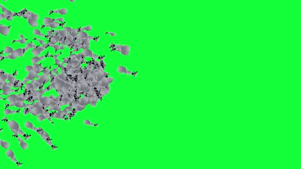 プラスチックボトルアニメーション 編集可能な緑の画面のグループ クロマキー — ストック動画