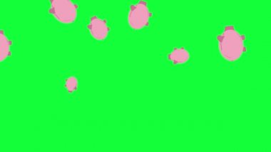 Piggy Bank grubu ögeleri kısa animasyon yeşil ekran kroma anahtarı