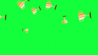 Altın ödül kupaları kısa animasyon yeşil ekran krom anahtarı