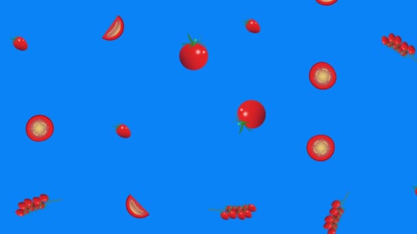 Анимация Графических Элементов Группы Помидоров Бесшовная Петля Хроматический Ключ Голубого — стоковое видео