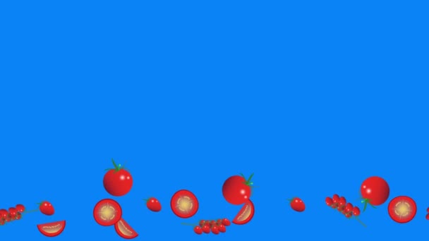 Tomaten Groep Grafische Elementen Animatie Naadloze Lus Blauw Scherm Chroma — Stockvideo
