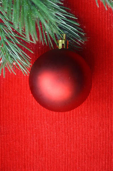 Fichtengrüne Zweige Auf Rotem Hintergrund Und Roter Ball Weihnachtsspielzeug Frohes — Stockfoto