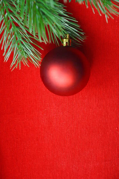 Σπρους Πράσινα Κλαδιά Κόκκινο Φόντο Και Κόκκινη Μπάλα Χριστουγεννιάτικο Παιχνίδι — Φωτογραφία Αρχείου