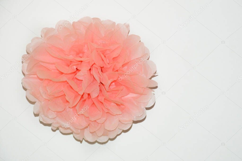 paper flower. beautiful, delicate pompom. decoration for the interior.