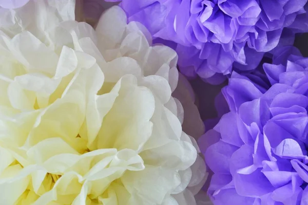 Güzel kağıt ponponlar. Kağıt çiçekler, şakayıklar. tasarım için nazik bir arkaplan.