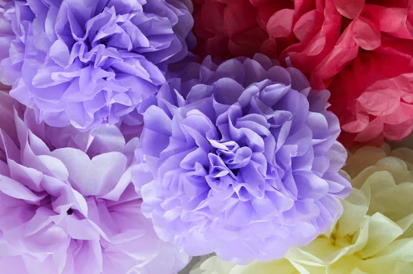 Beautiful paper POM-poms. Paper flowers, peonies. a gentle background for the design.