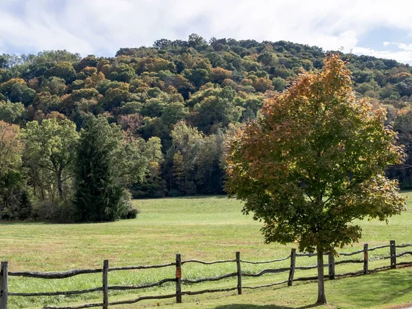 ペンシルベニア州ローレルハイランドにある秋の木で 前景にはオレンジ色の緑の木があり 茶色のレンガ造りのフェンスがあり その後ろに青い曇った空を背景に多くの木があります — ストック写真