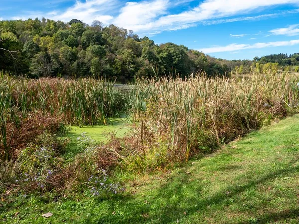 Ländliche Szene Den Laurel Highlands Von Pennsylvania Mit Bäumen Hintergrund — Stockfoto