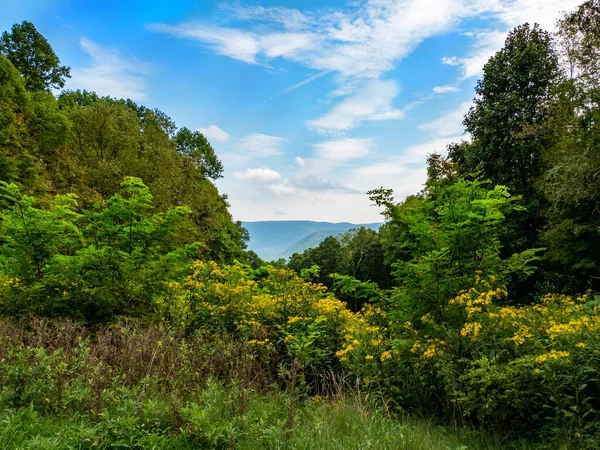 Bela Vista Panorâmica Montanha Ohiopyle Aninhado Nas Terras Altas Laurel — Fotografia de Stock