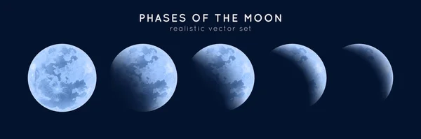 Realistische fasen van de maan. — Stockvector