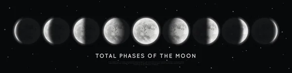 Realistische fasen van de maan. — Stockvector