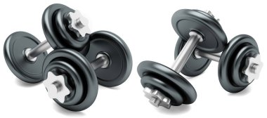 Metal dumbbell ya da ağırlık