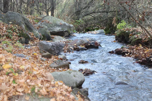 Річка Природі Восени — стокове фото