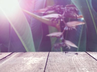 Fotokopi alanı olan tahta masa ve arka planda bulanık bitkiler