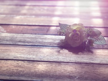 Taze gül çiçeği ve alyans yakın plan, mücevher konsepti